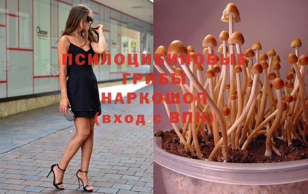 трава Абдулино