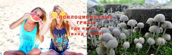 трава Абдулино