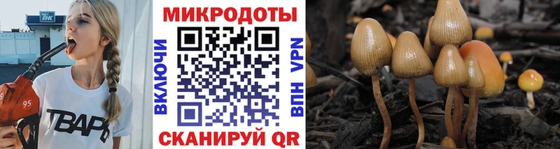 закладки  Павловский Посад  Галлюциногенные грибы MAGIC MUSHROOMS 