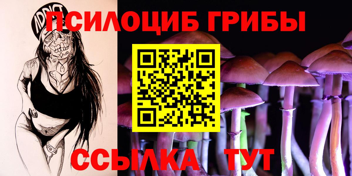 Галлюциногенные грибы мухоморы Павловский Посад