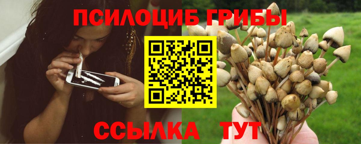 Галлюциногенные грибы прущие грибы  Вход с VPN  Павловский Посад 